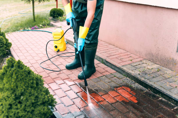 Best Roof Washing  in New London, IA