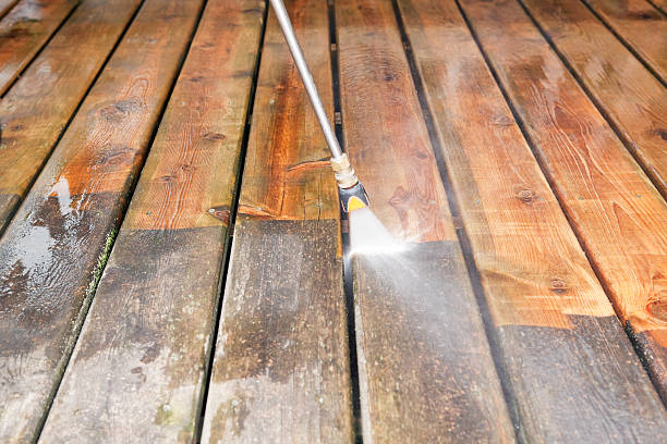 Animal Enclosure Cleaning in New London, IA